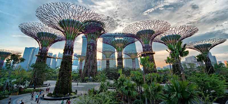 Gardens by the Bay